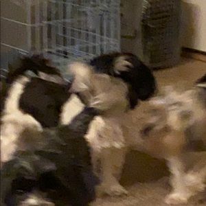 Meet your Posher, Rick